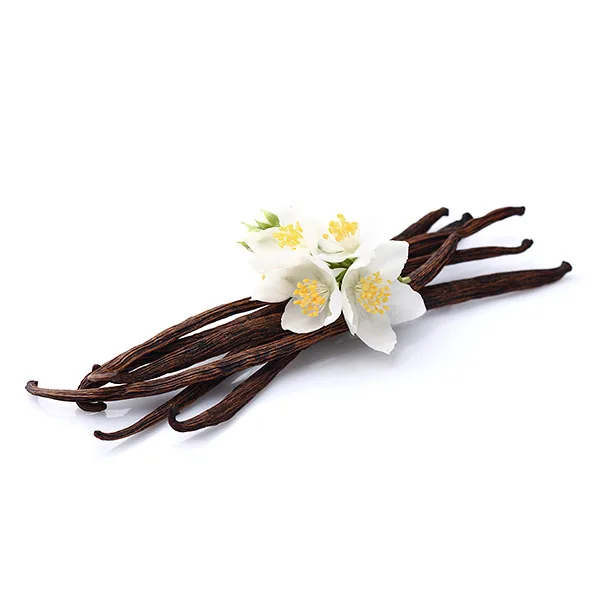 Madagascar Vanilla Bean gelato